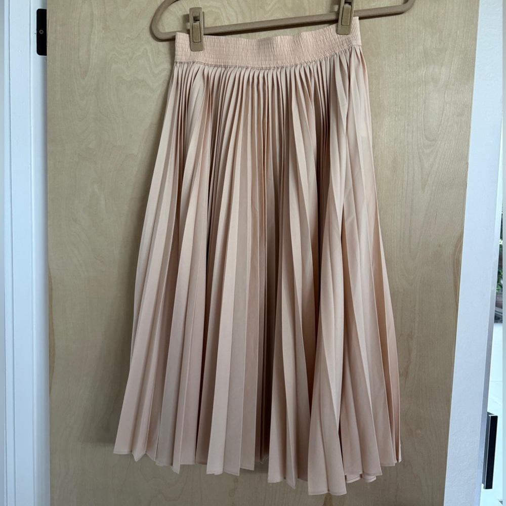 Derek Lam Pleated chiffon Skirt